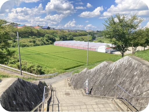 鹿の子台店の行き方