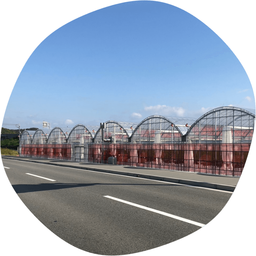 恋晴のうえんのハウスの外観