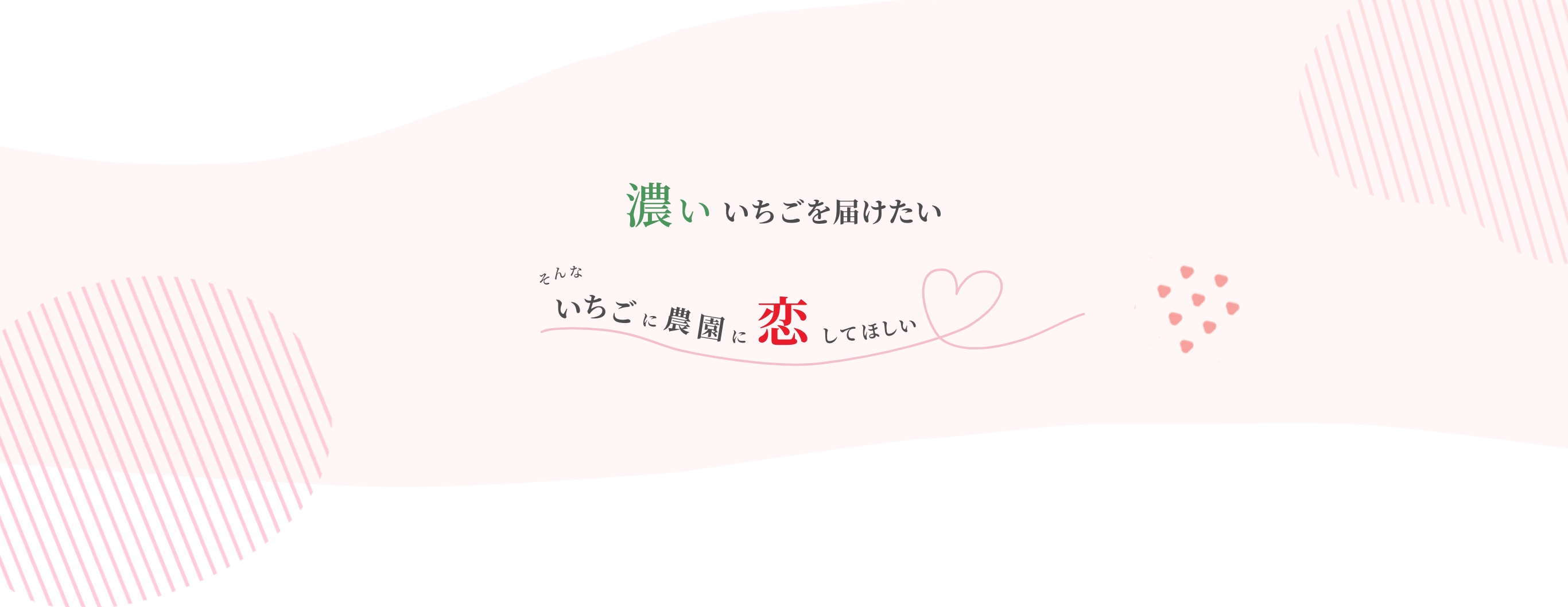 濃いいちごを届けたい そんないちごに農園に恋してほしい