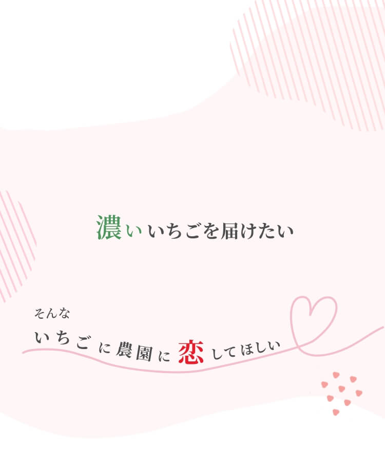 濃いいちごを届けたい そんないちごに農園に恋してほしい