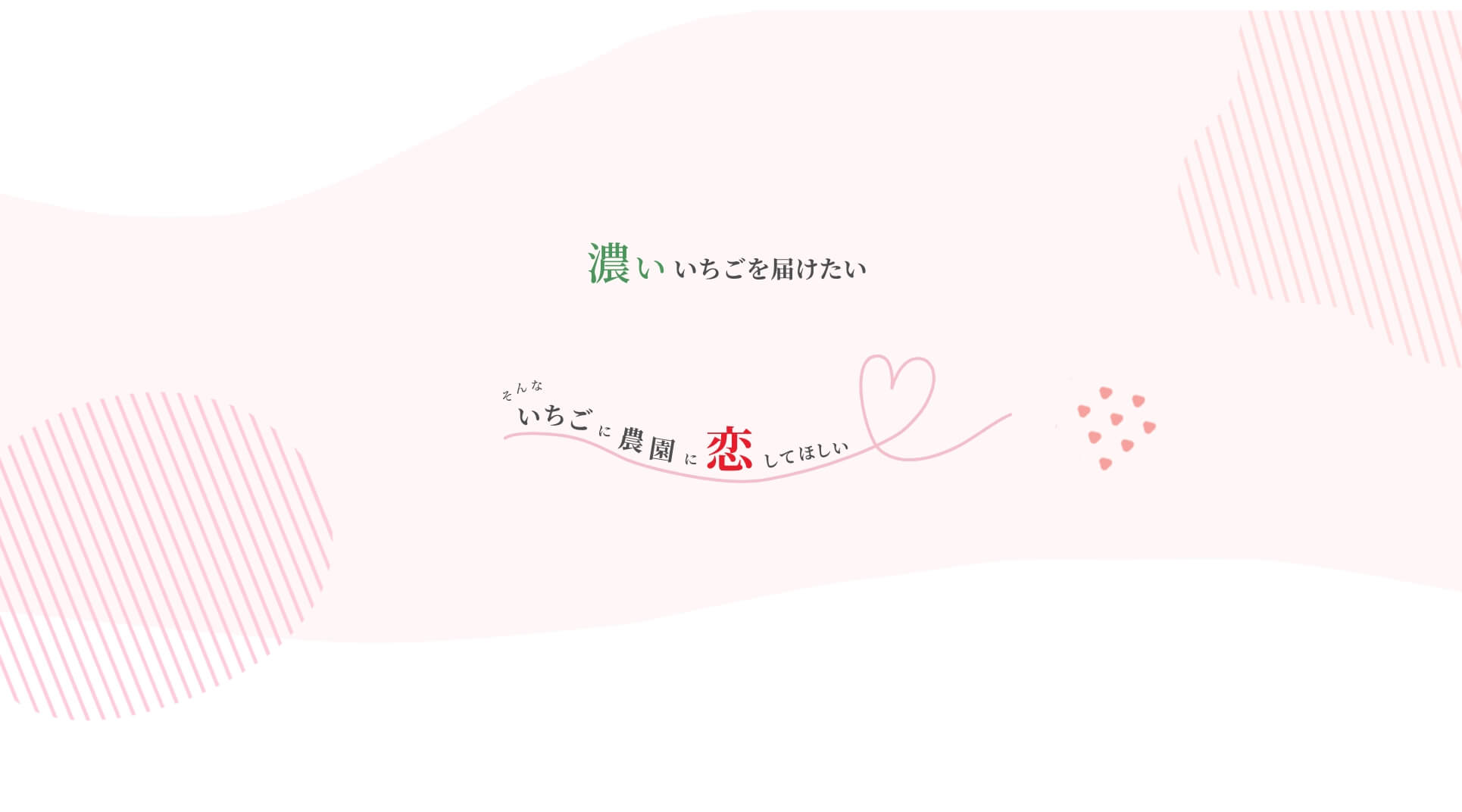 濃いいちごを届けたい そんないちごに農園に恋してほしい