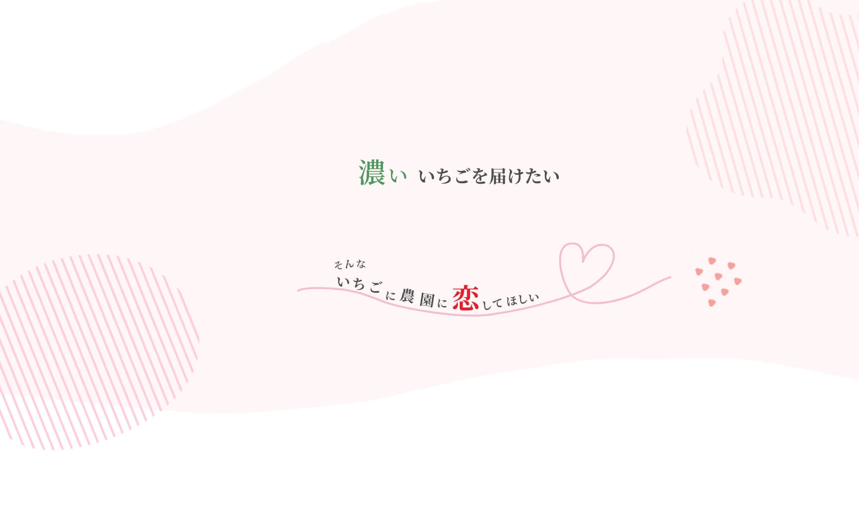 濃いいちごを届けたい そんないちごに農園に恋してほしい